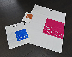 Art Institute Chicago Museum Bags